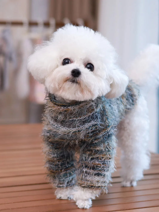 2025 Simple Pet Sweater – Lightweight Style for Spring & Autumn