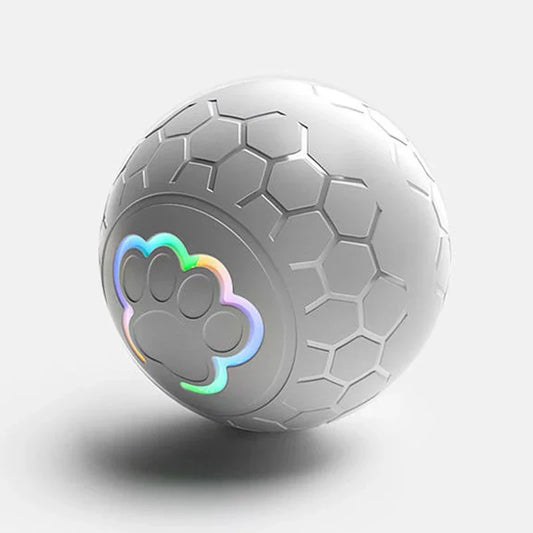 Smart Dog Toy Ball – Interactive USB Bouncing Ball with RGB Lights