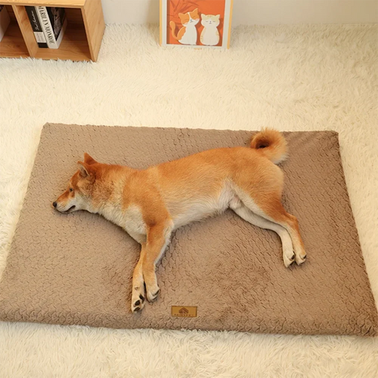 3D Foam Orthopedic Dog Bed – Faux Fur Comfort with Waterproof Design