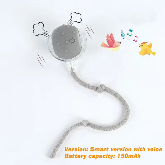 Smart Rolling Dog Ball – Rechargeable Interactive Toy for Puppies