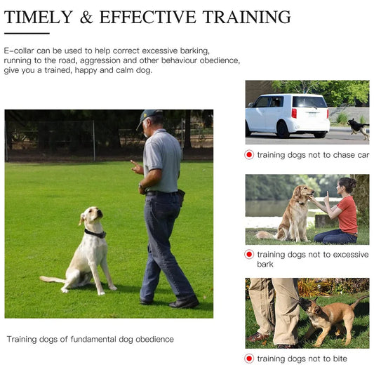 800m Dog Training Collar – Waterproof Rechargeable with LCD Remote