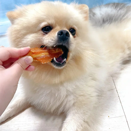 Rawhide Chicken Breast Dog Treats – 200g/400g Natural & Digestible