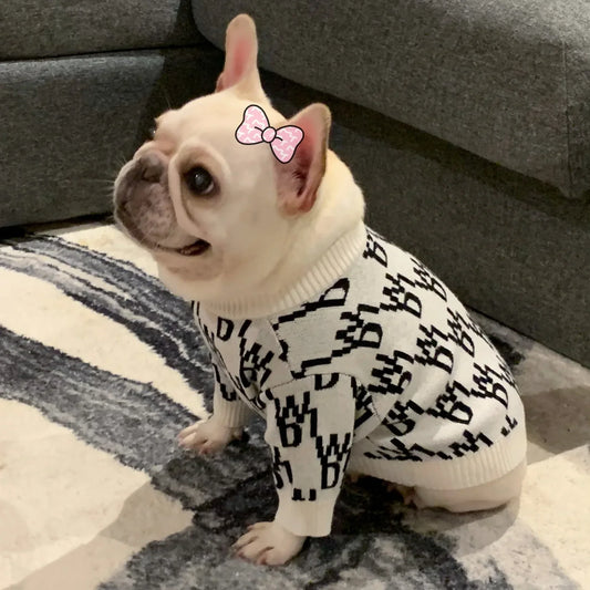 Luxury Winter Dog Clothes – Designer Warmwear for Small & Medium Dogs