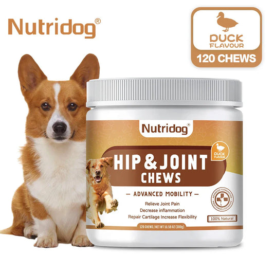 Hip and Joint Supplement Chews – Duck Flavor with Glucosamine, Chondroitin & MSM