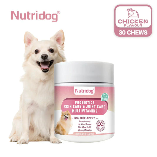 Multivitamin Chews for Dogs – With Probiotics, Glucosamine & Enzymes