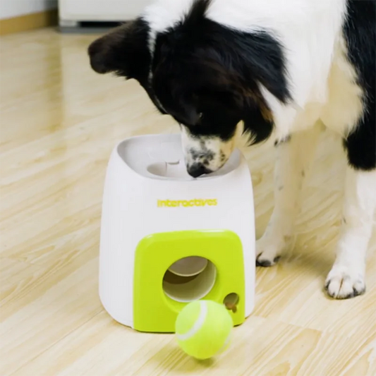 Automatic Tennis Ball Launcher – Smart Pet Feeder & Throwing Toy